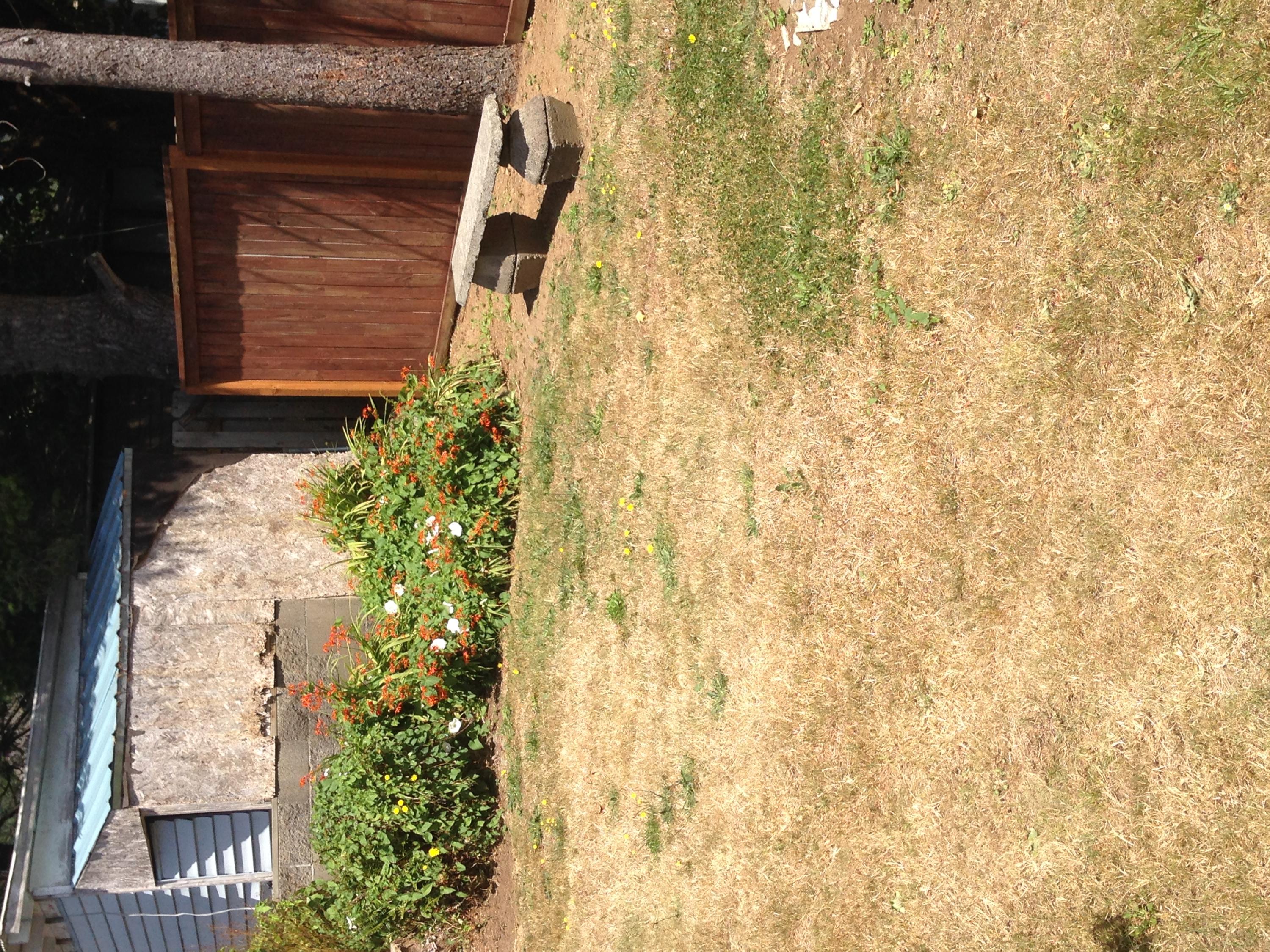 204 3rd Street Garibaldi, OR 97118 - Photo 15 of 18 Yard #2