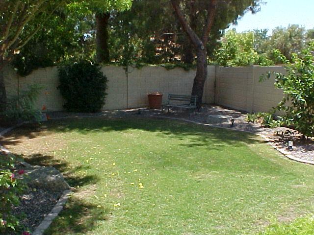 207 West Knox Road Tempe, AZ 85284 - Photo 8 of 8 LARGE GRASSY AREA BEHIND POOL