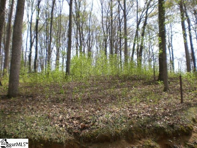 204 Lakeshore Drive Easley, SC 29642 - Photo 2 of 5