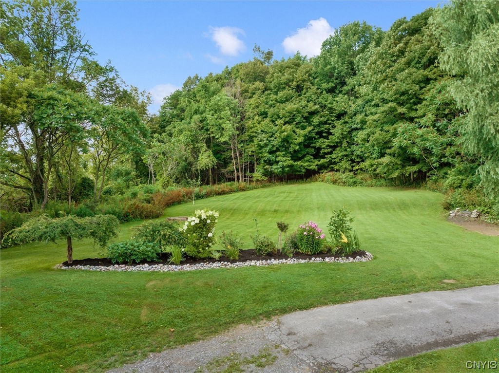 3164 Fountain Street Kirkland, NY 13323 - Photo 50 of 50 Back yard