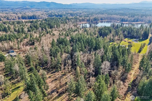 a view of a lush green field with mountains in the background