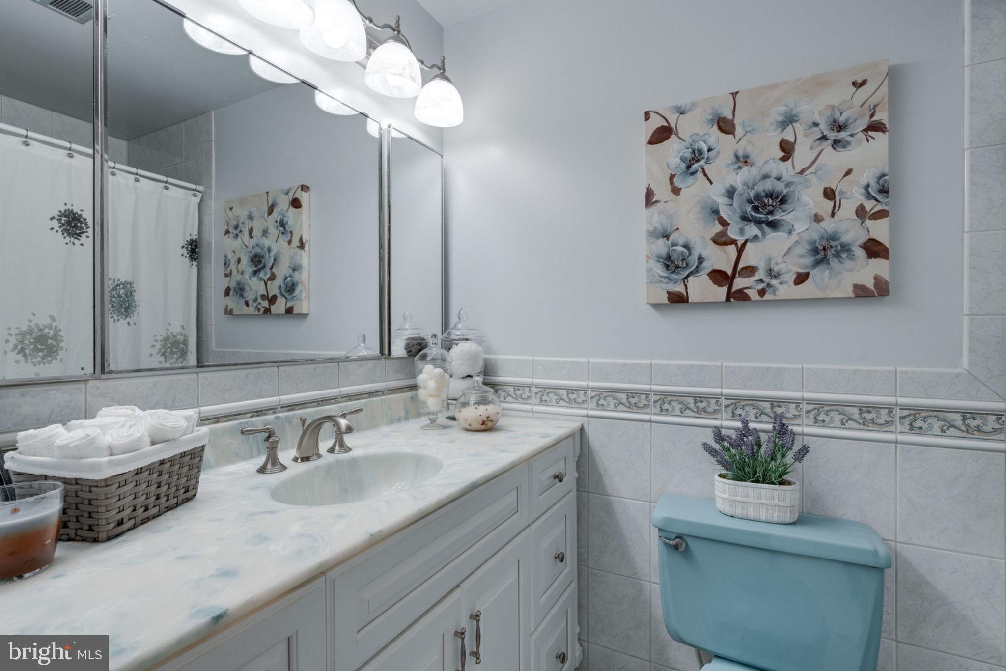 6407 Rivington Road Springfield, VA 22152 - Photo 23 of 41 Hall Bath