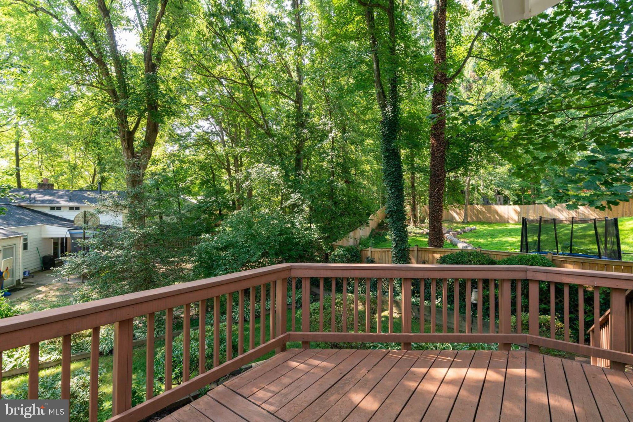 6407 Rivington Road Springfield, VA 22152 - Photo 33 of 41 Nestled in the Trees - Lots of Privacy