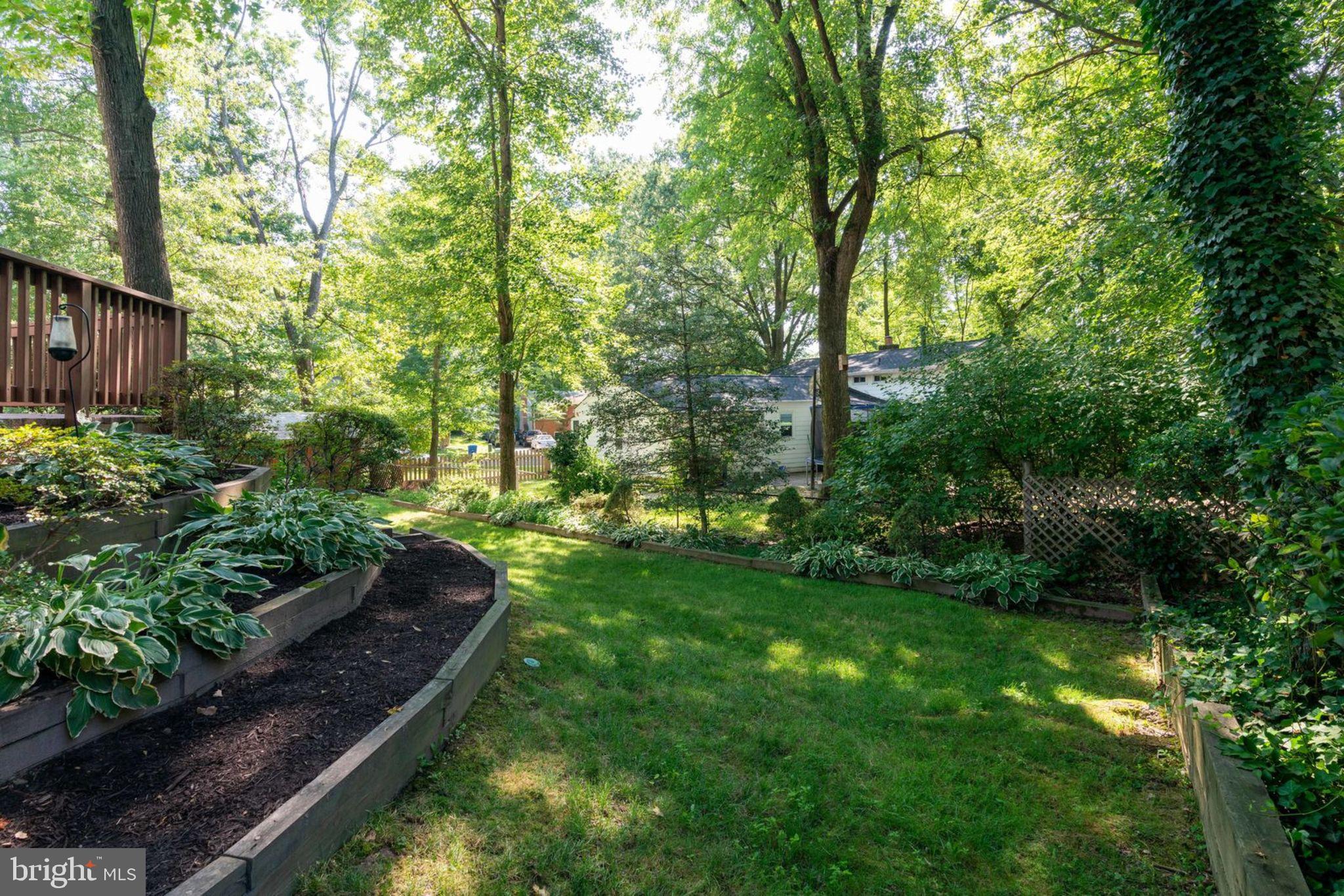 6407 Rivington Road Springfield, VA 22152 - Photo 34 of 41 Lovely Terraced Flower Beds