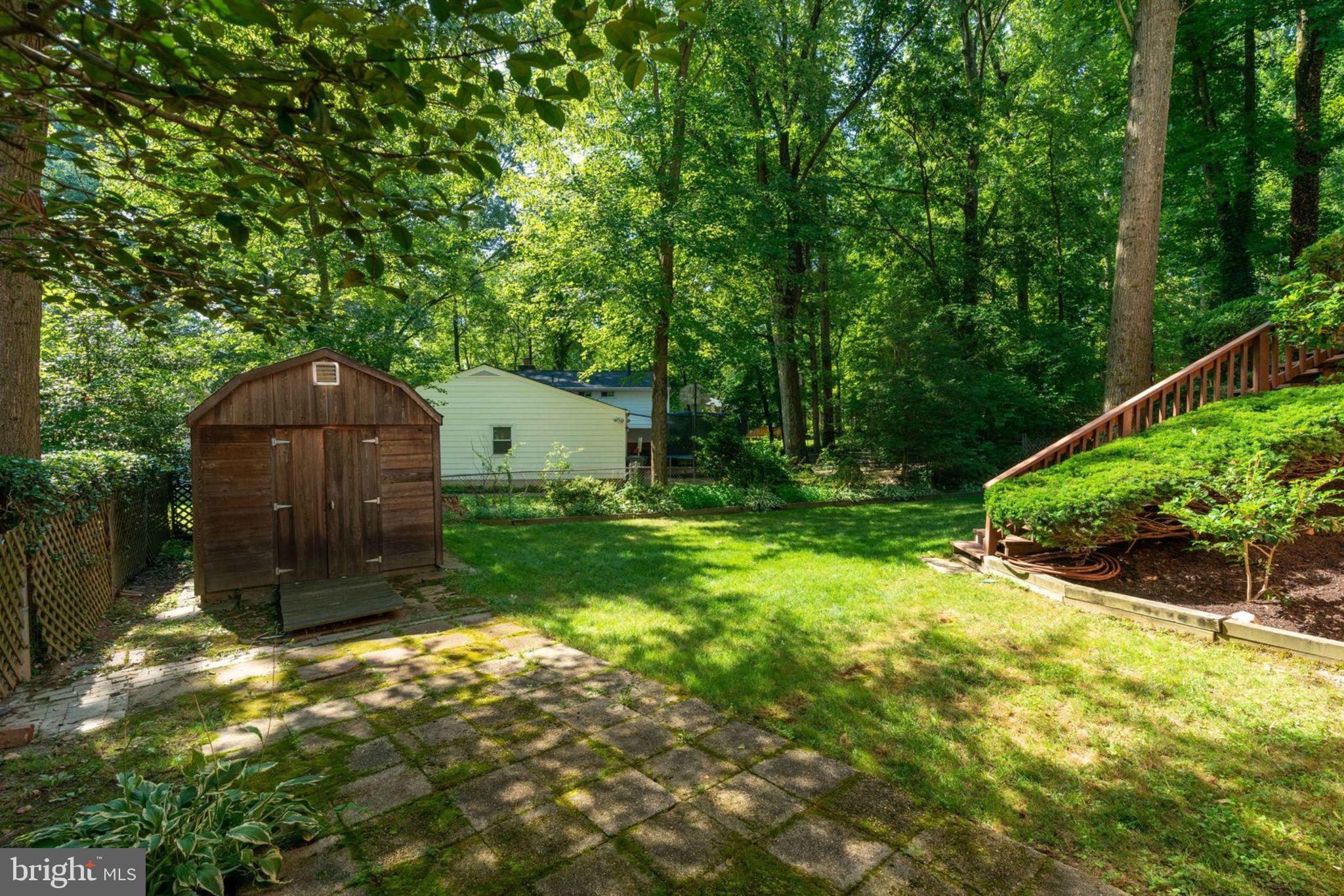 6407 Rivington Road Springfield, VA 22152 - Photo 38 of 41 Additional Storage in Shed