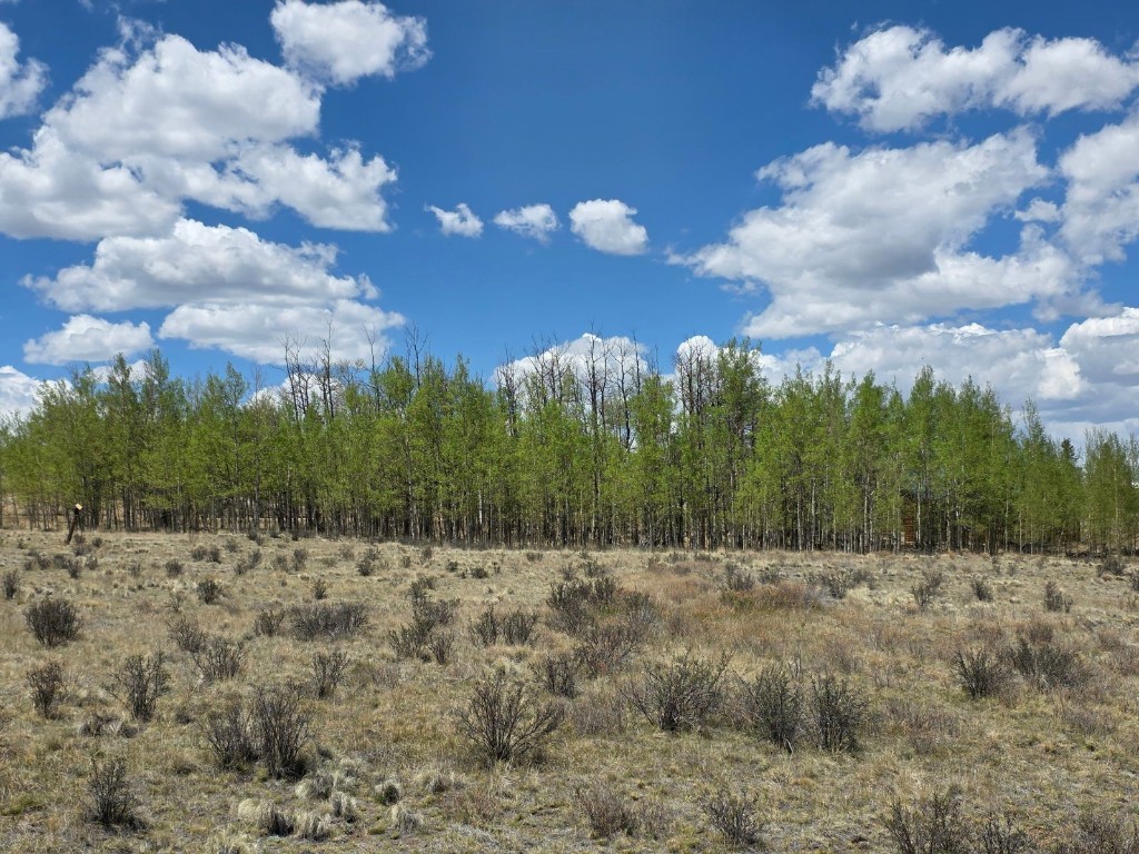 139 Hopi Como, CO 80456 - Photo 5 of 12 a view of a yard
