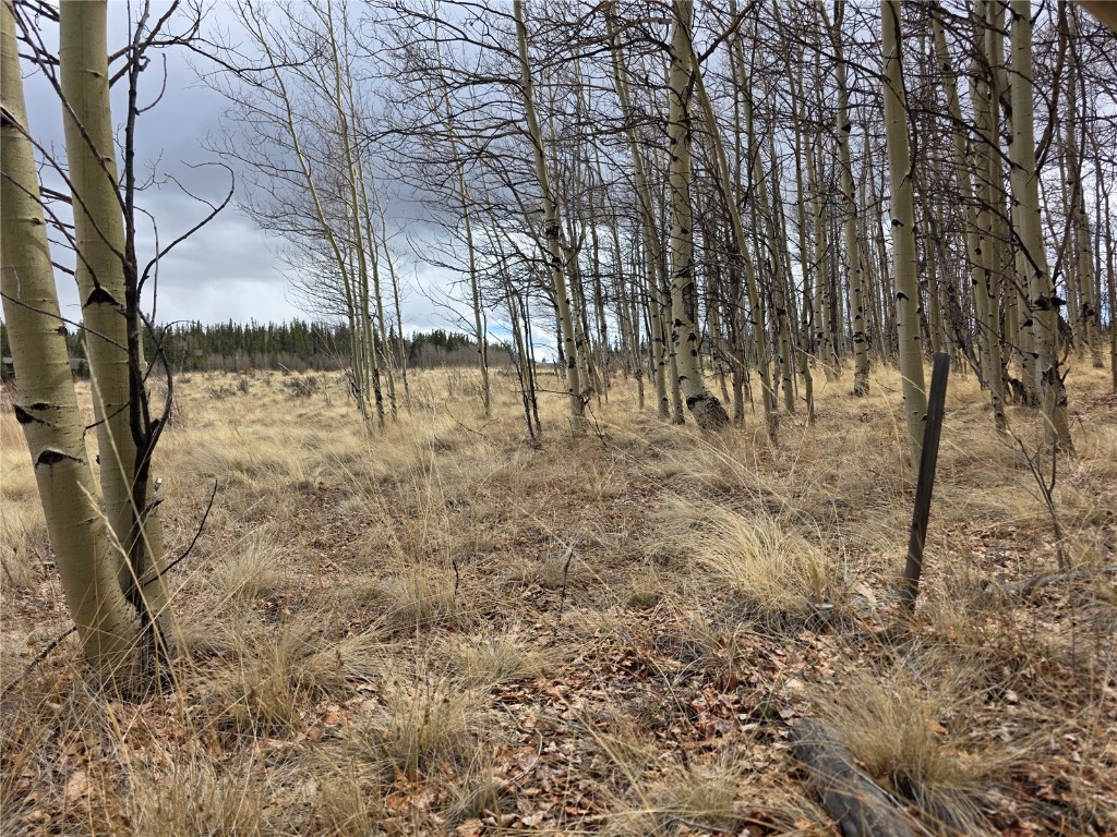 139 Hopi Como, CO 80456 - Photo 9 of 12 a view of a yard with a tree