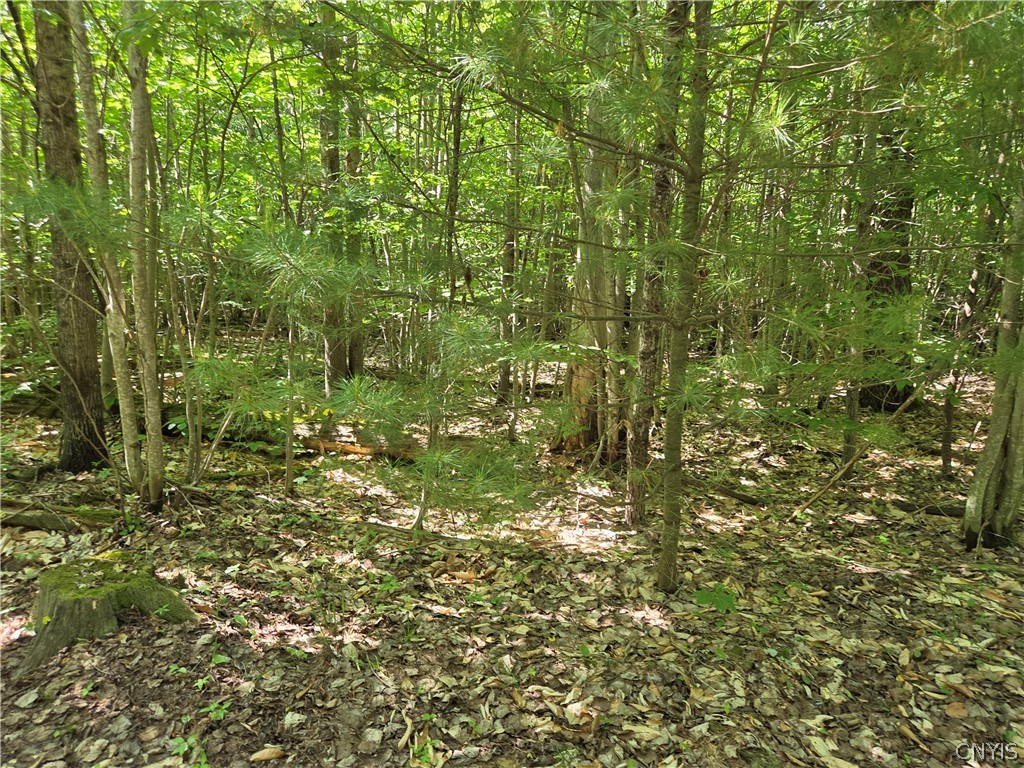 7399 Pennysettlement Road Lyonsdale, NY 13433 - Photo 5 of 7