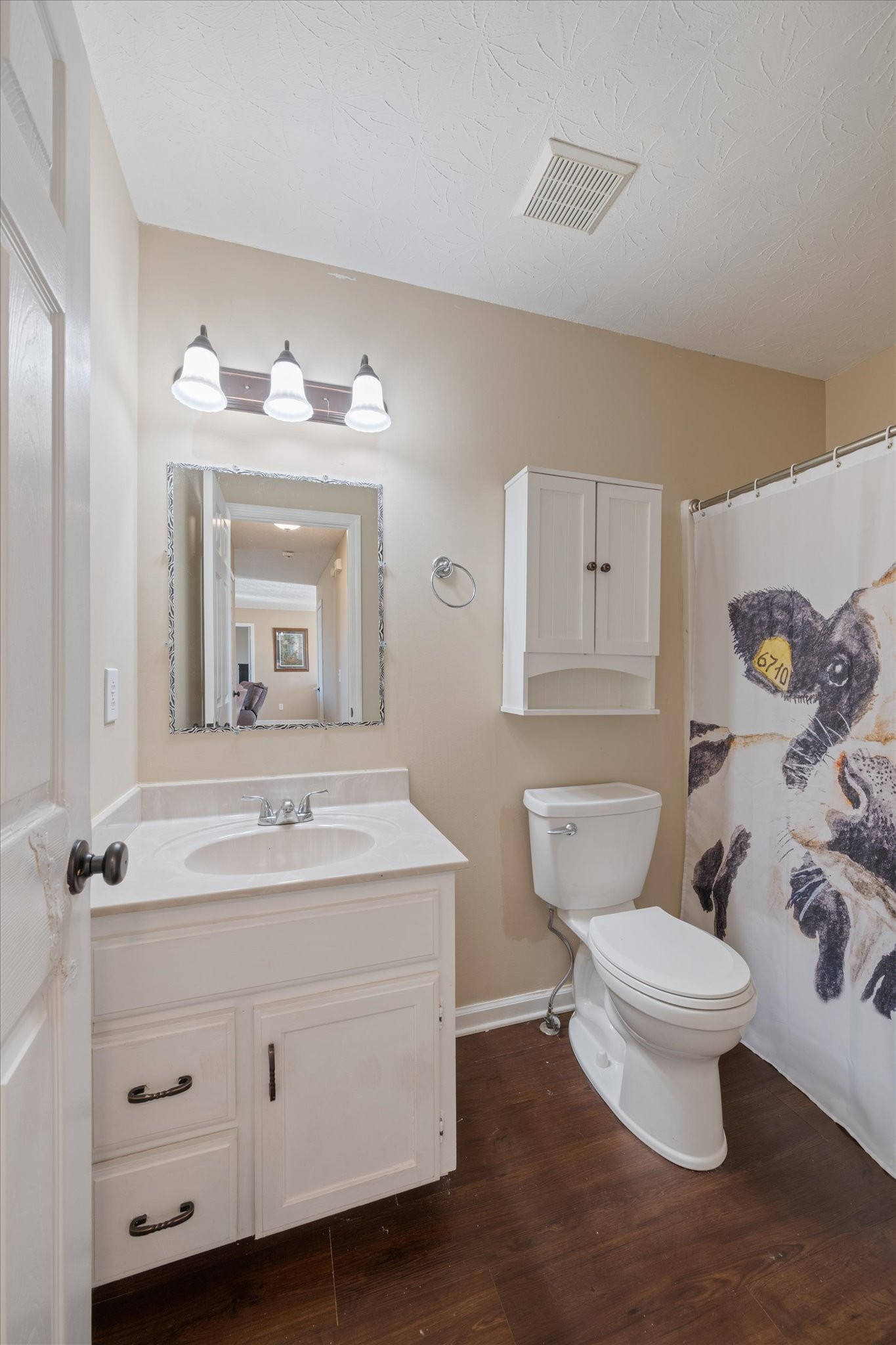 5971 Wayman Dunn Road Springfield, TN 37172 - Photo 16 of 31 a bathroom with a toilet sink and mirror