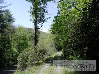 Timber Ridge Road Newland, NC 28641 - Photo 1 of 1 Gallery Image 1