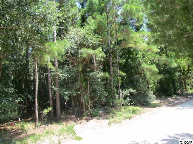 3652 Della Road Longs, SC 29568 - Photo 2 of 4 Gallery Image 2