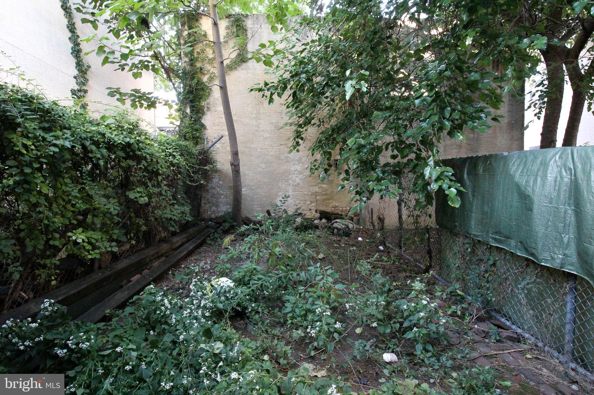 1525 West Seybert Street, Unit A Philadelphia, PA 19121 - Photo 5 of 6 a view of a yard with plants and large trees