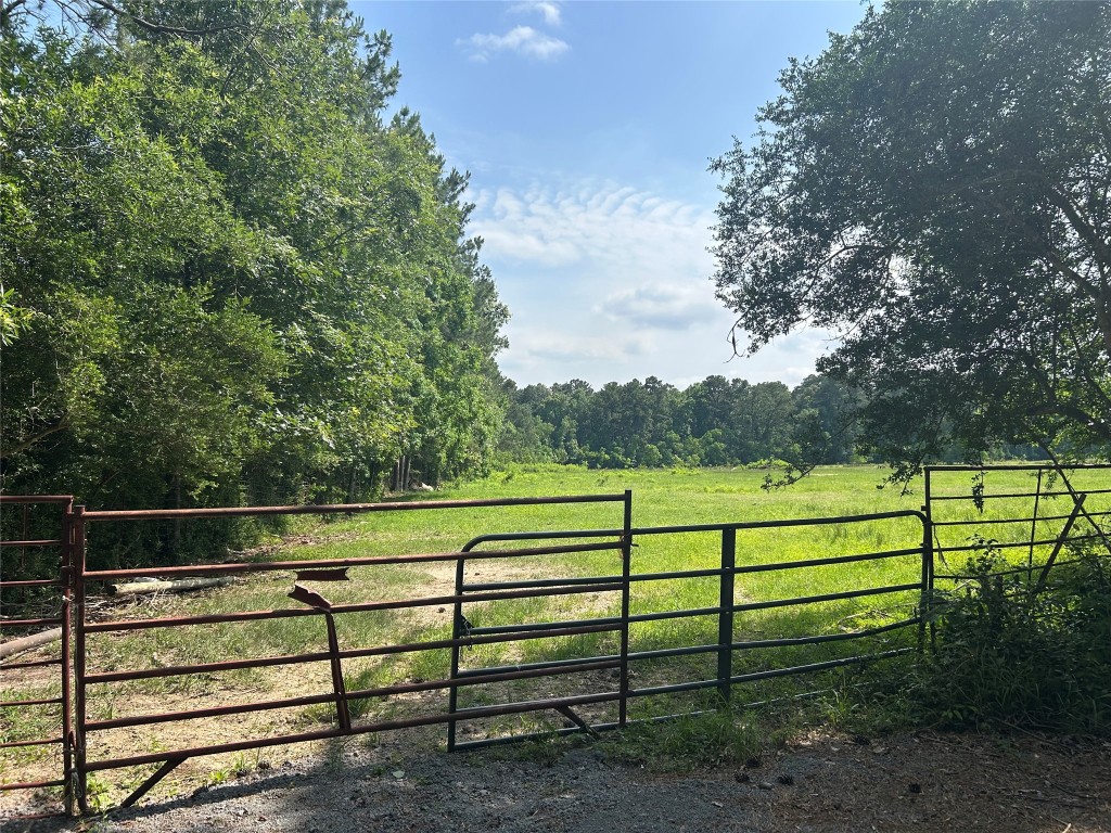 Lot 1 Minnie West Road Hull, TX 77564 - Photo 1 of 4