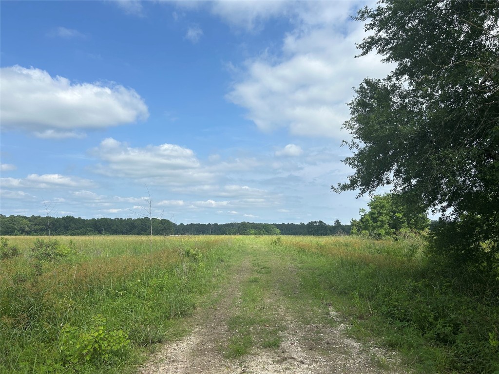 Lot 1 Minnie West Road Hull, TX 77564 - Photo 2 of 4