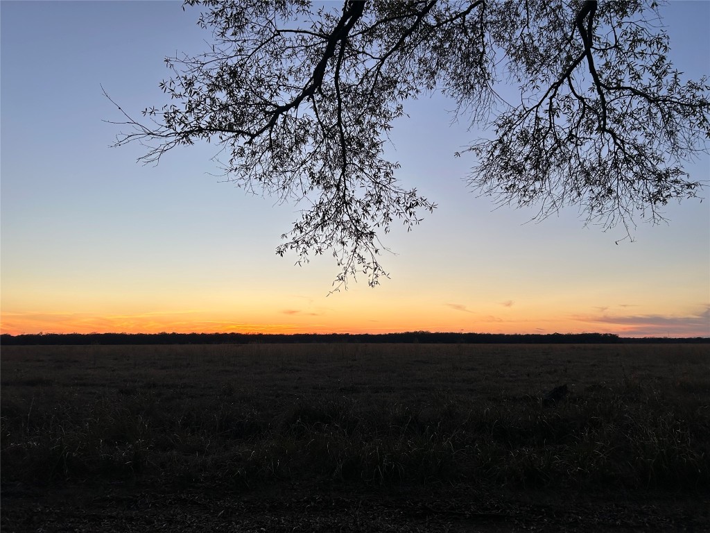 Lot 1 Minnie West Road Hull, TX 77564 - Photo 4 of 4