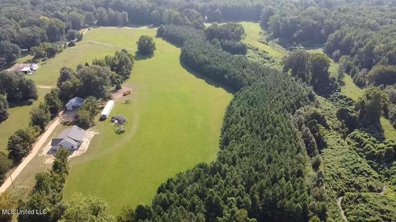 2645 Odom Sec B Road Hernando, MS 38632 - Photo 8 of 9 PWKB4865