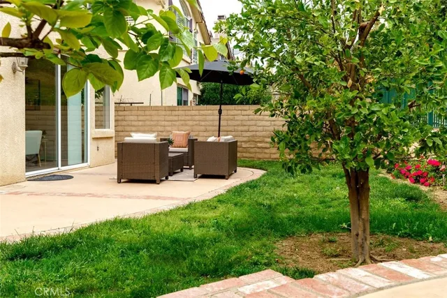 a view of backyard with plants and trees