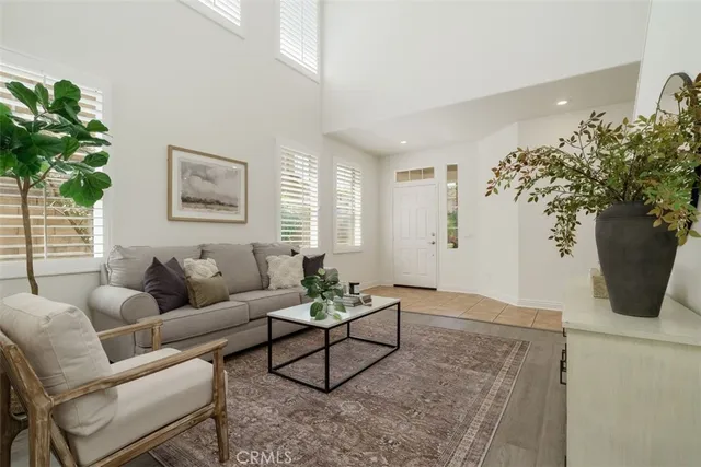 a living room with furniture potted plant and a window
