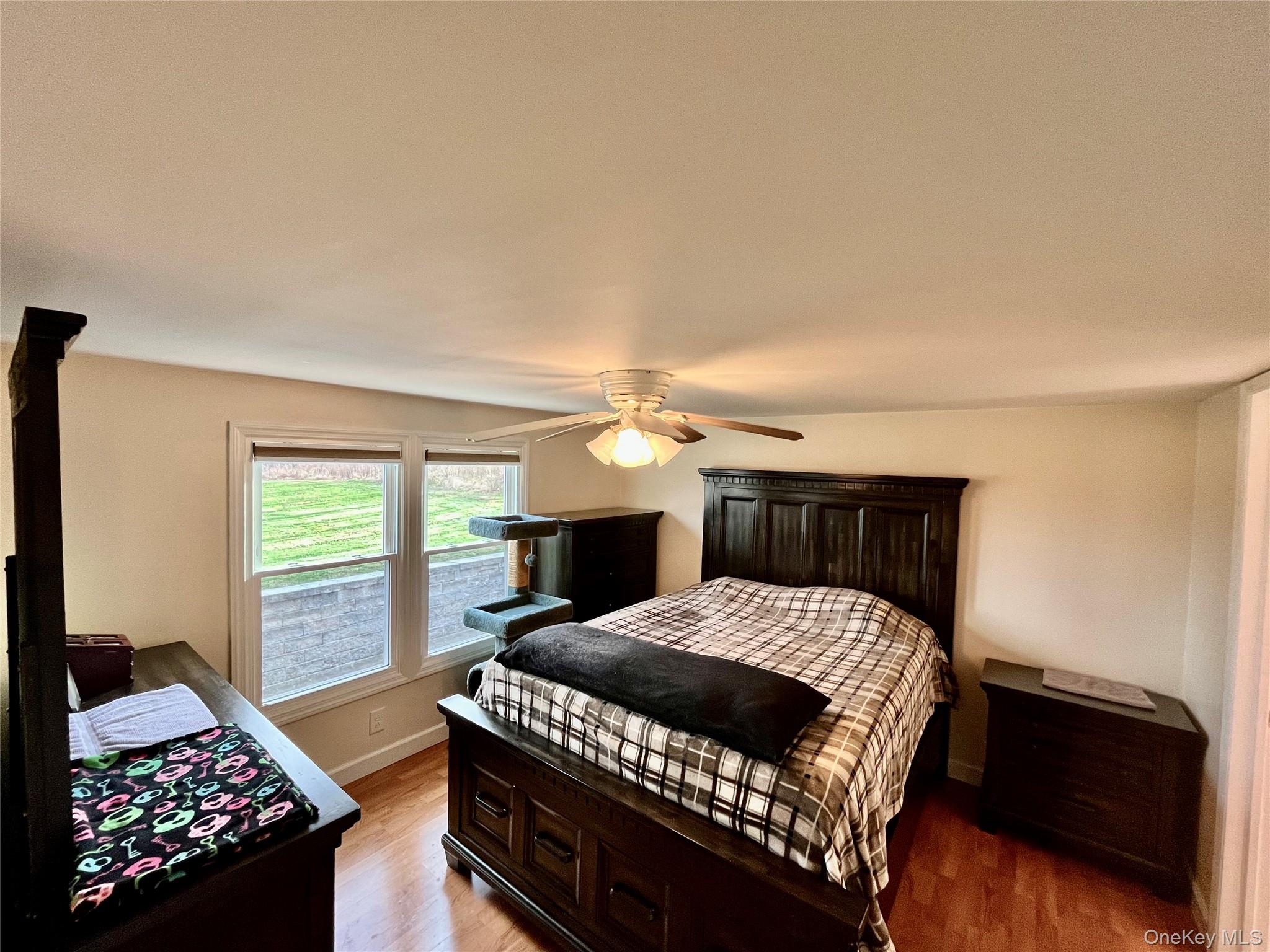 529 5th Avenue Middletown, NY 10941 - Photo 6 of 20 6 - Primary bedroom with big windows