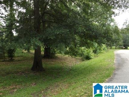 0 Perseverance Lane Odenville, AL 35120 - Photo 1 of 13