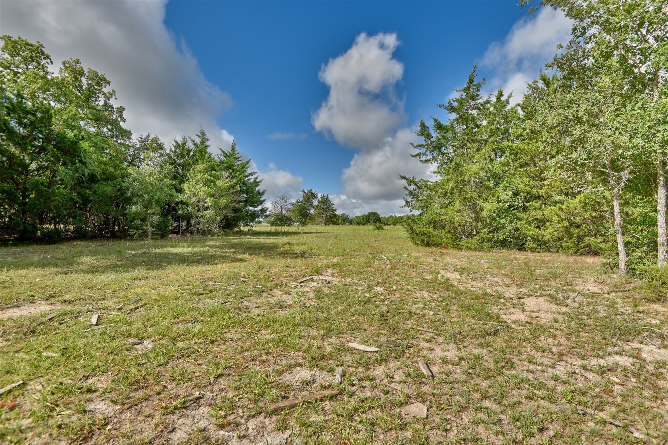 Tbd West Magnolia Drive Somerville, TX 77879 - Photo 11 of 17