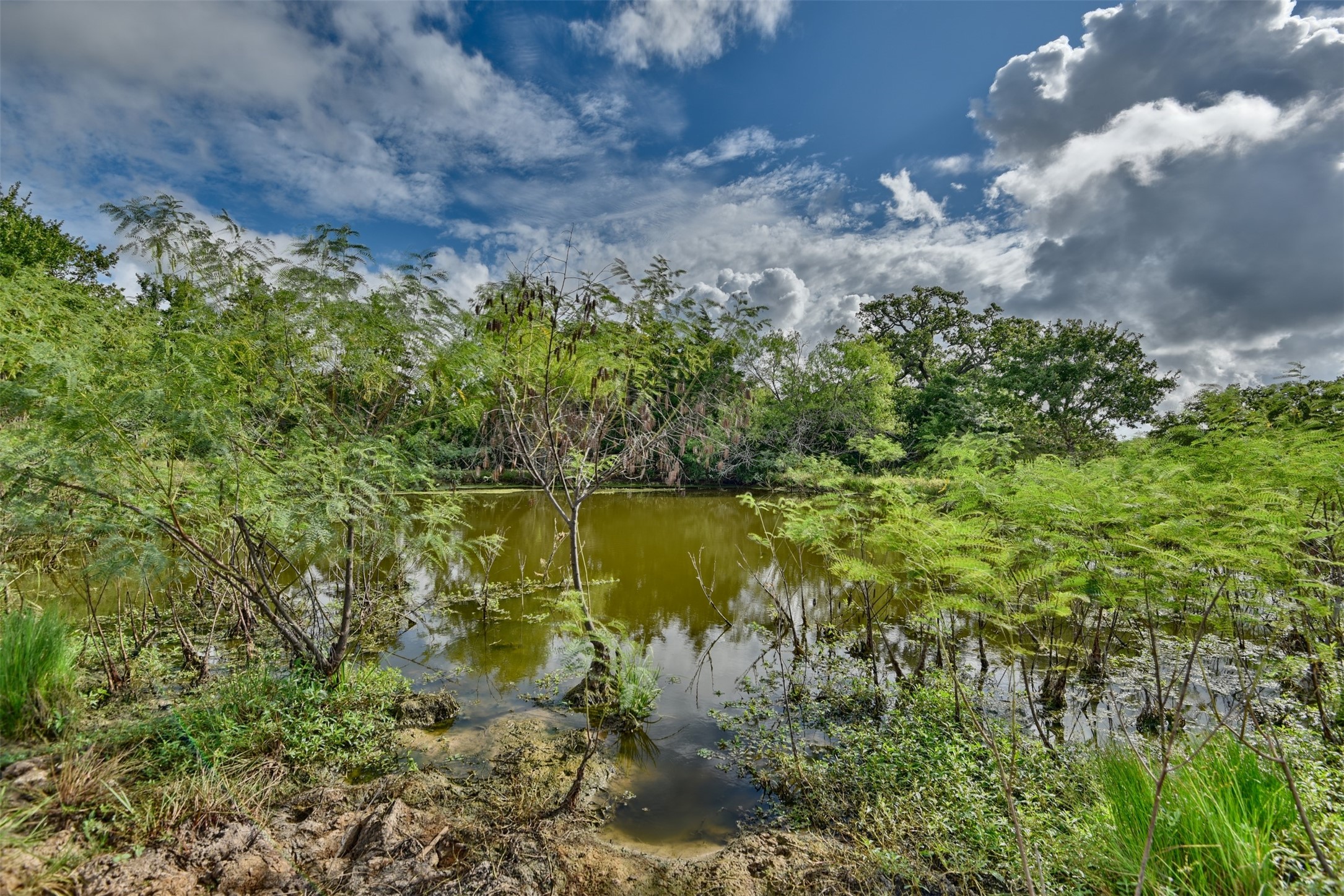 Tbd West Magnolia Drive Somerville, TX 77879 - Photo 12 of 17
