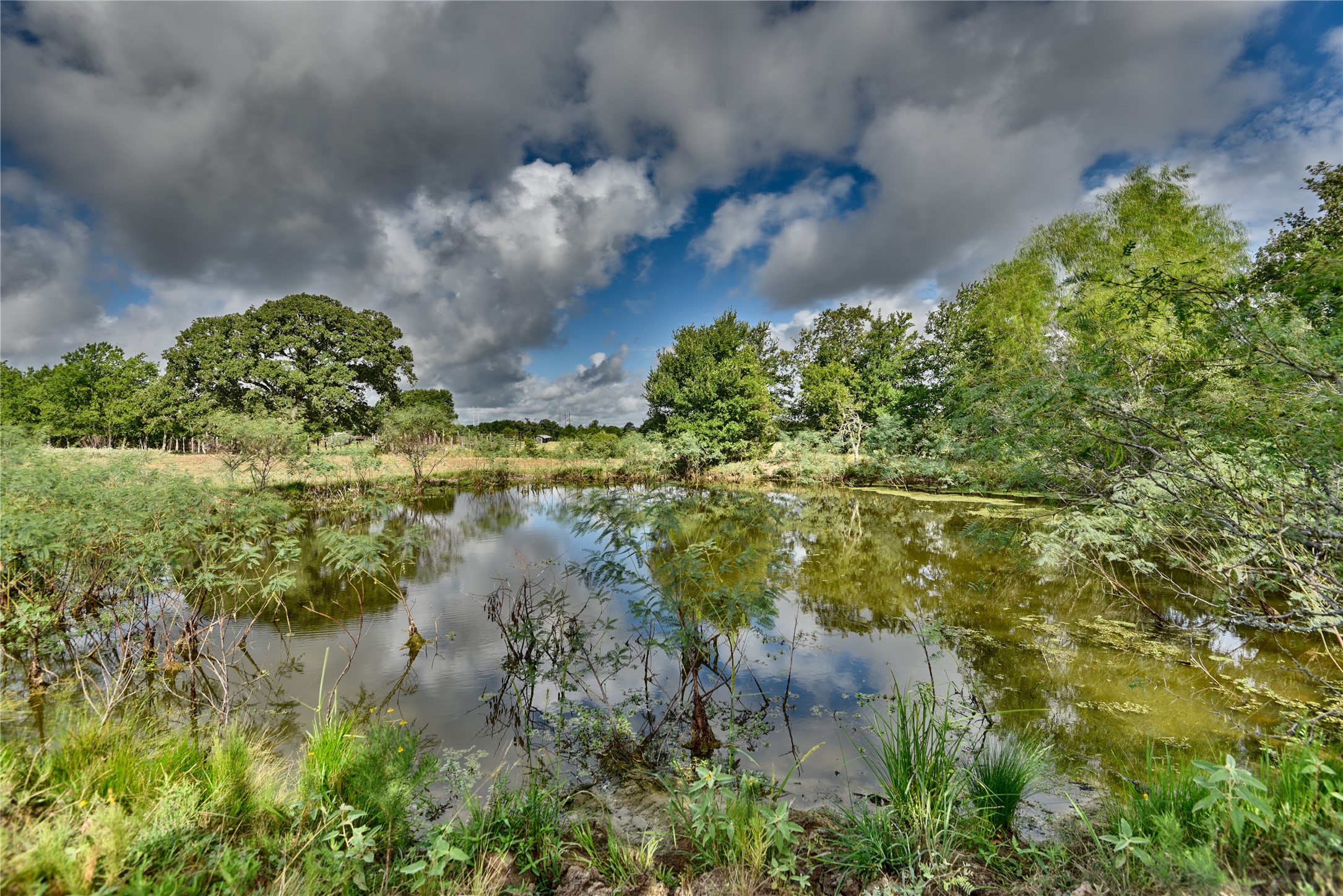 Tbd West Magnolia Drive Somerville, TX 77879 - Photo 4 of 17