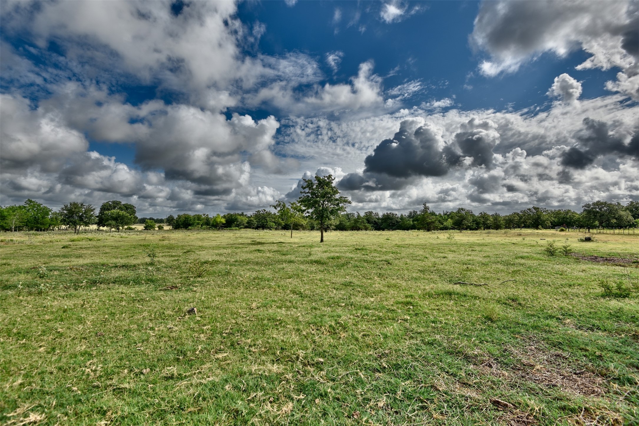 Tbd West Magnolia Drive Somerville, TX 77879 - Photo 6 of 17
