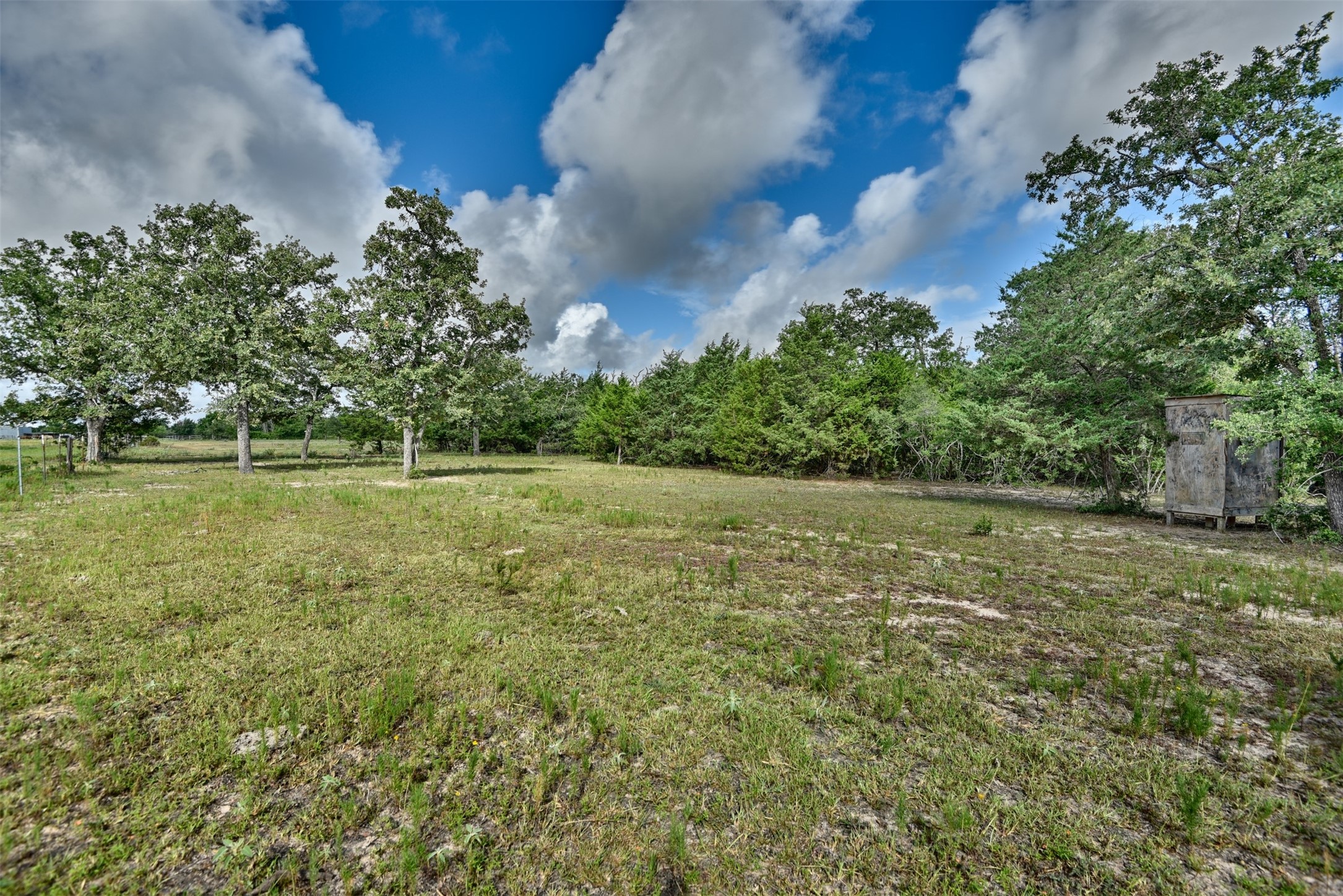 Tbd West Magnolia Drive Somerville, TX 77879 - Photo 7 of 17