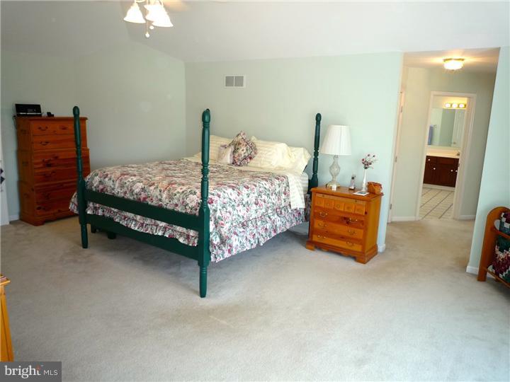 19 Montague Road Newark, DE 19713 - Photo 19 of 25 Master Bedroom
