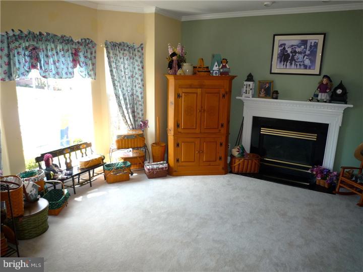 19 Montague Road Newark, DE 19713 - Photo 6 of 25 Living Room