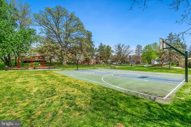 a view of a back yard with plants