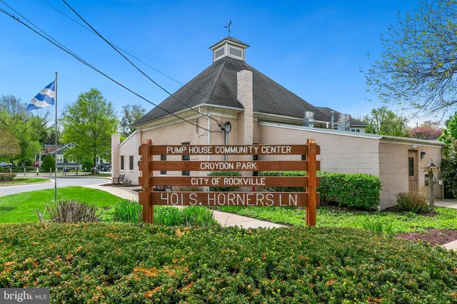 a view of a park with large trees