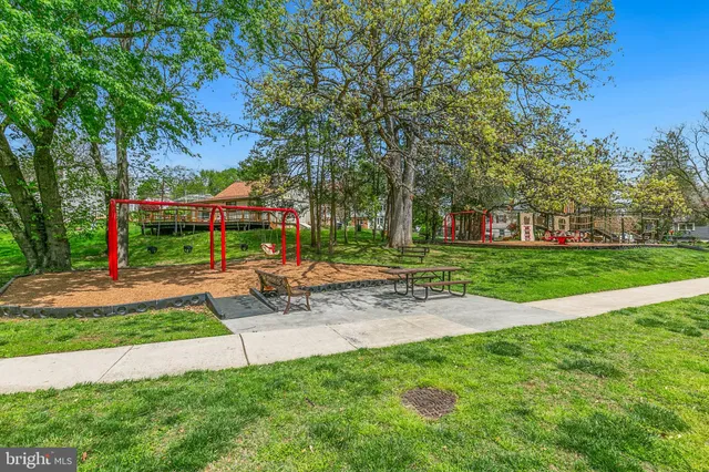 a view of a park with plants and trees