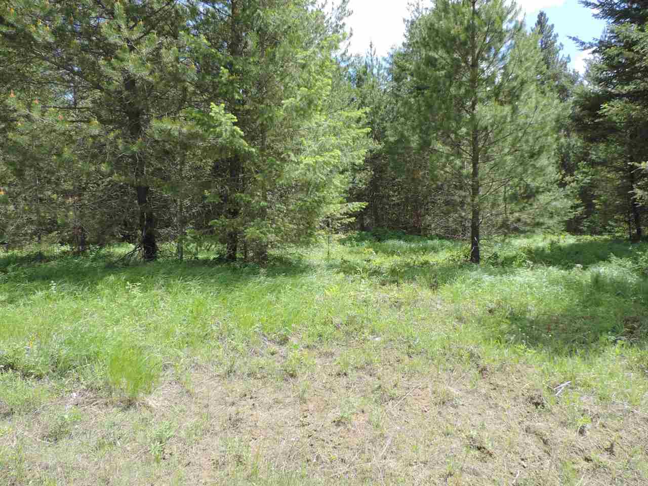 601 Hilltop Road Newport, WA 99156 - Photo 5 of 10 Gallery Image 5