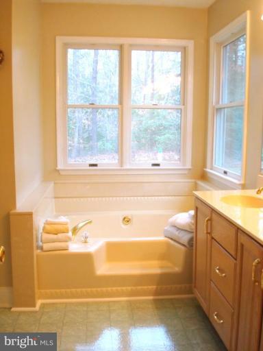 4580 Wilkerson Road Brandywine, MD 20613 - Photo 11 of 26 Master Bath