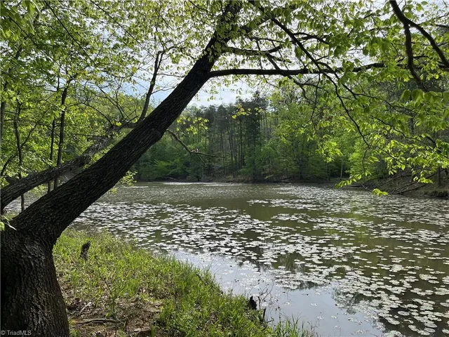 $225,000 | 0 Sheets Trail, Germanton, NC 27019