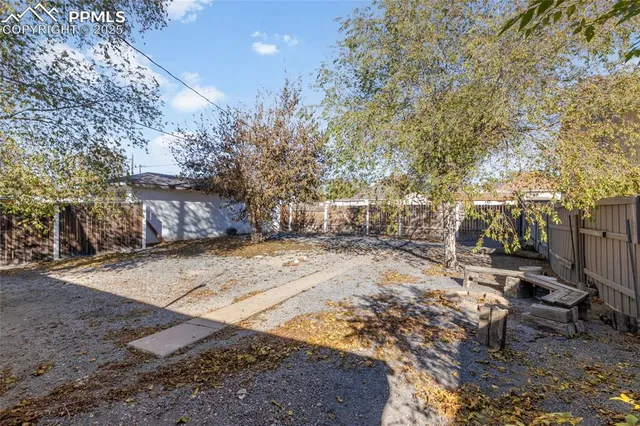 a view of a yard with plants and trees