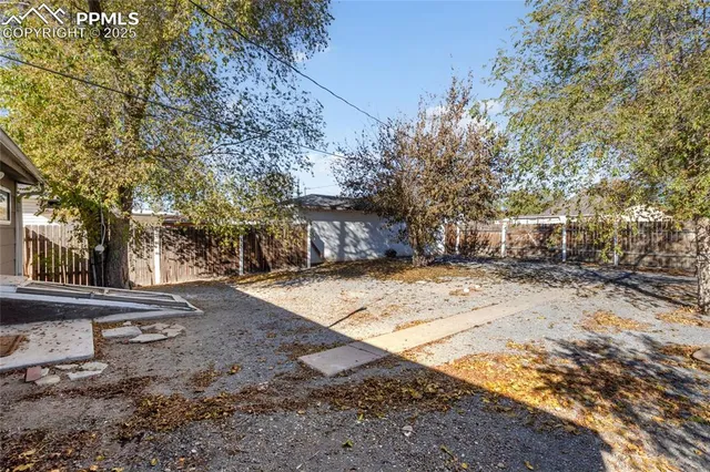 a view of a yard with plants and trees