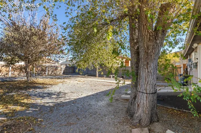 a view of a yard with plants and trees