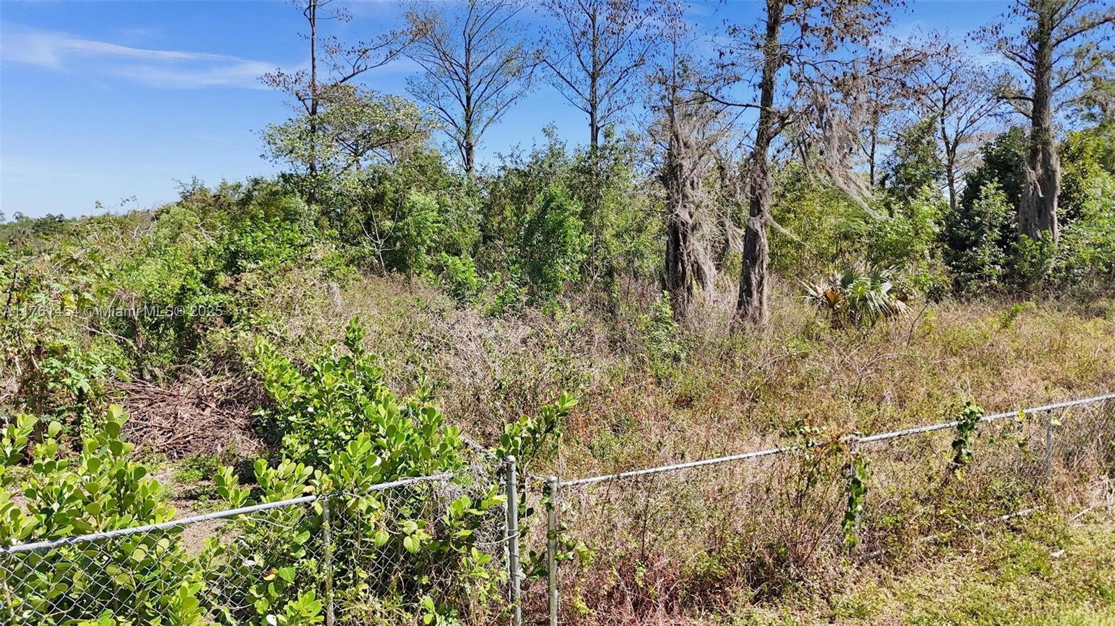 19784 116th Avenue South Boca Raton, FL 33498 - Photo 10 of 15