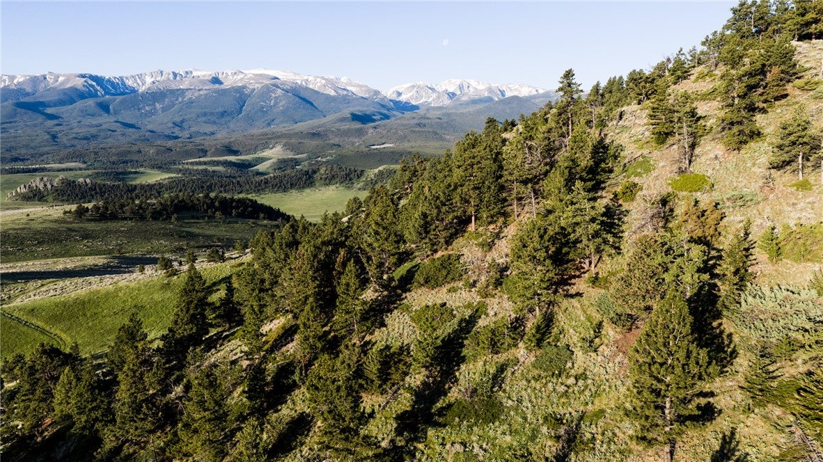 Tbd Nye Road Fishtail, MT 59028 - Photo 42 of 50 Gallery Image 42