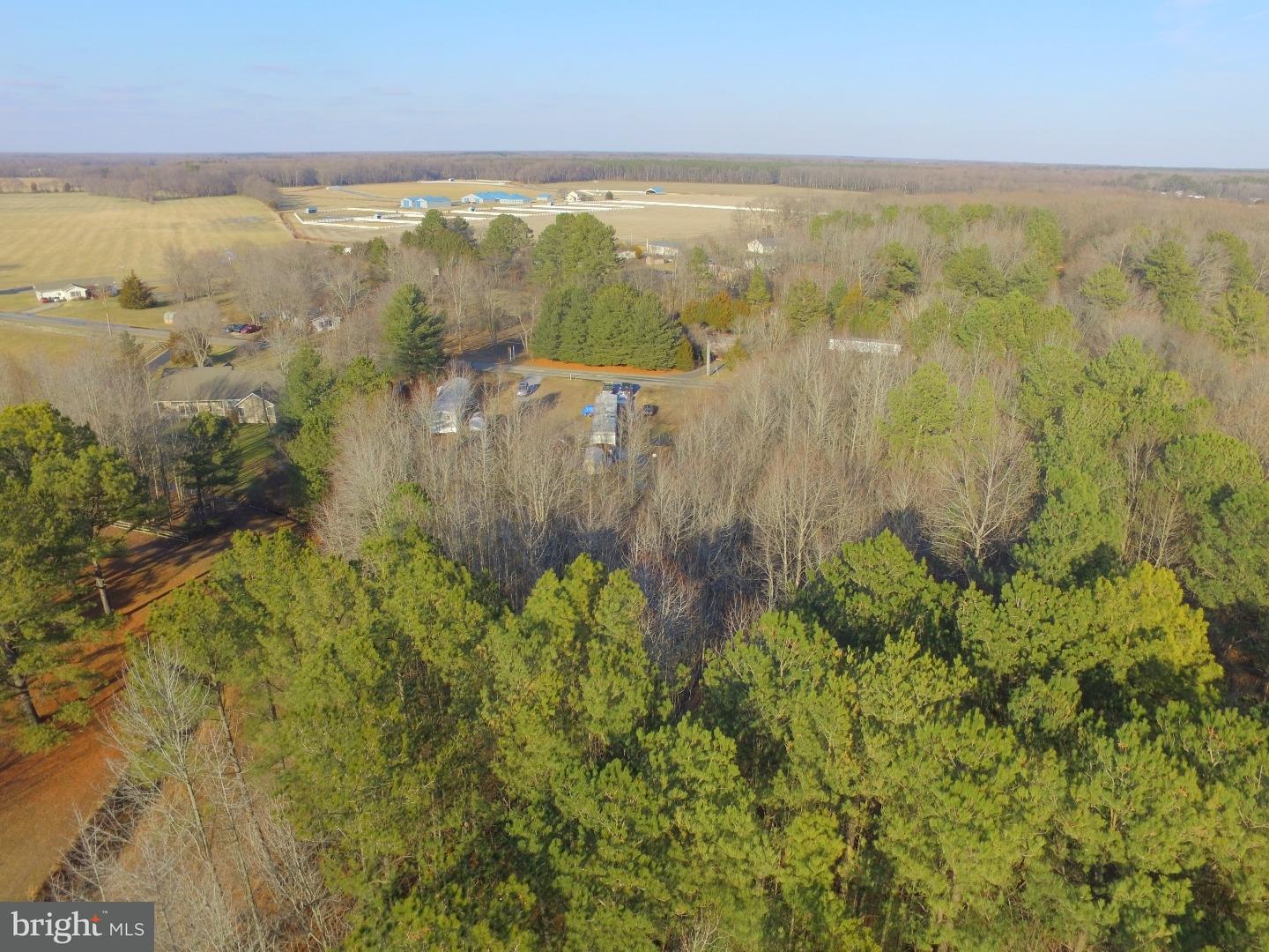 3131 John Hurd Road Felton, DE 19943 - Photo 2 of 13 Gallery Image 2
