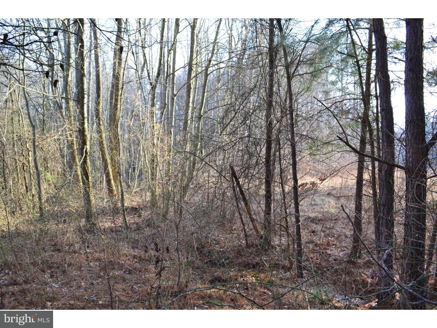 3131 John Hurd Road Felton, DE 19943 - Photo 13 of 13 Gallery Image 13
