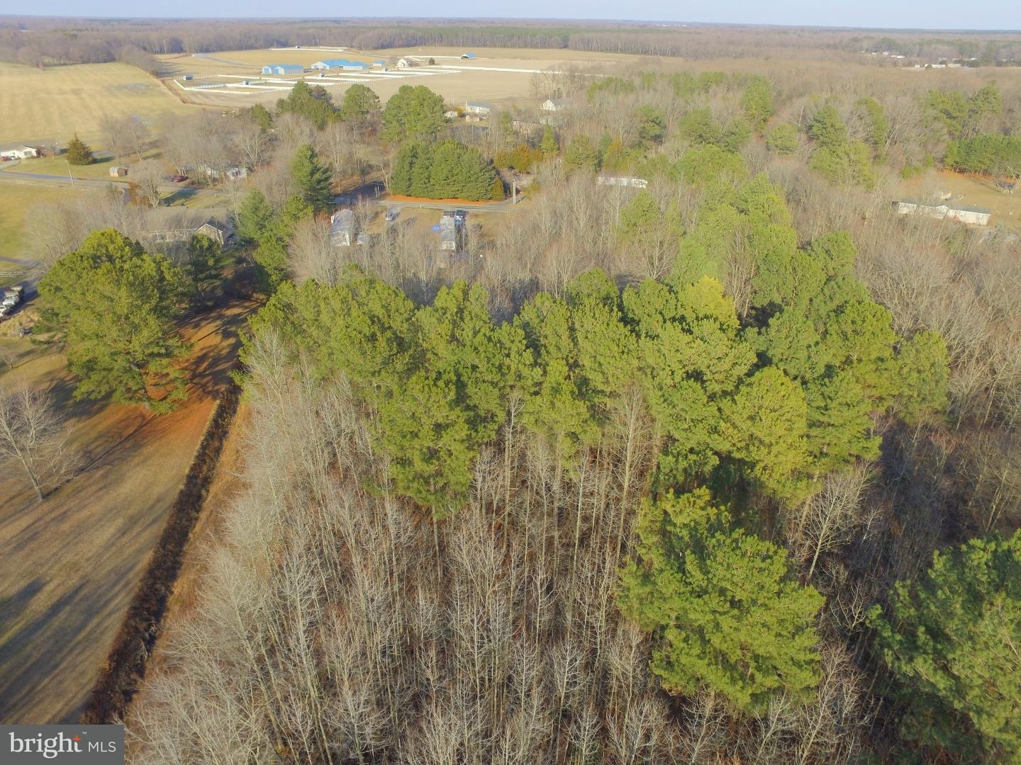 3131 John Hurd Road Felton, DE 19943 - Photo 3 of 13 Gallery Image 3