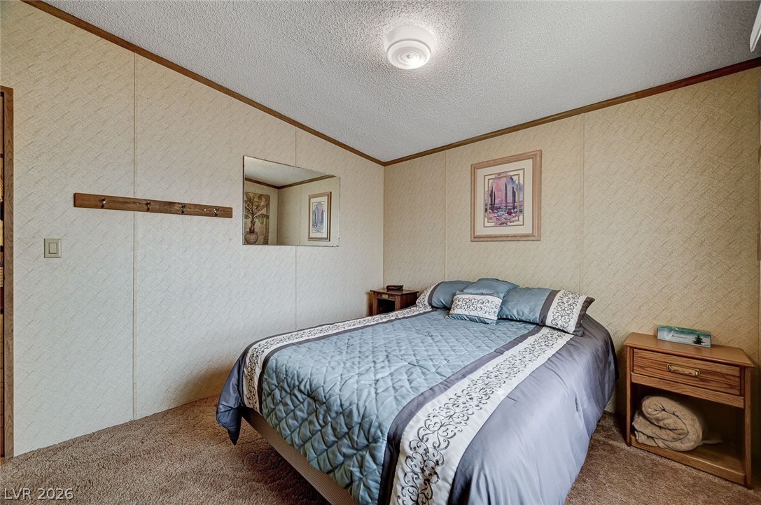 263 Trailzend Avenue Overton, NV 89040 - Photo 36 of 55