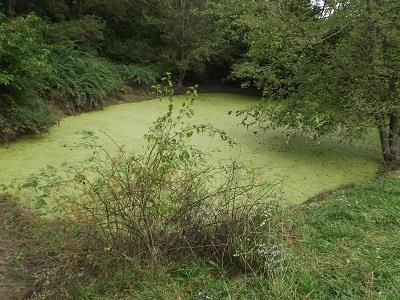 135-acres Sand Hill Road Boscobel, WI 53805 - Photo 11 of 27
