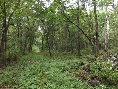 135-acres Sand Hill Road Boscobel, WI 53805 - Photo 12 of 27