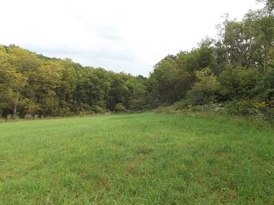 135-acres Sand Hill Road Boscobel, WI 53805 - Photo 13 of 27
