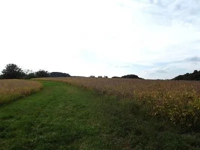 $2,025,000 | 135-acres Sand Hill Road, Boscobel, WI 53805